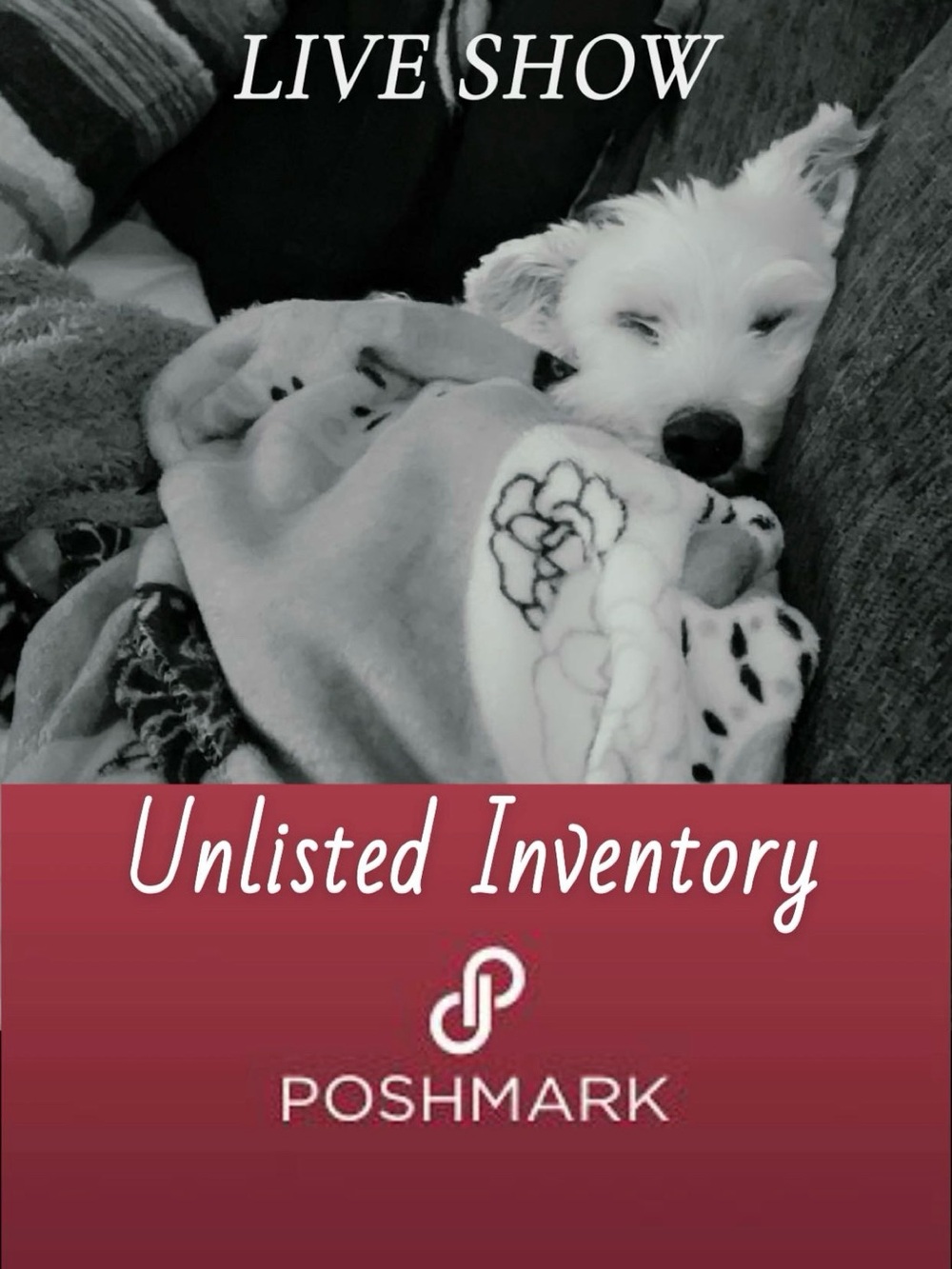 Unlisted Inventory - For LIVE SHOW - ITEMS DESCRIBED - All sales final